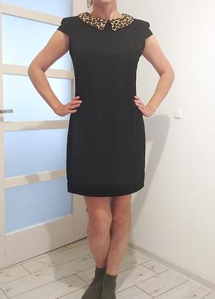 Платье, платье с воротничком