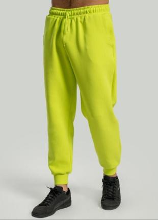 Теплі джогери, спортивні штани.