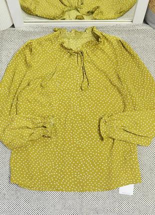 Нова фісташкова сорочка у горошок shein