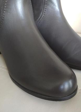 Жіночі чоботи walking cradles  torin wide calf