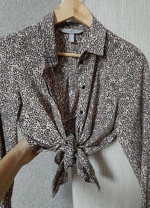 Рубашка сорочка блуза