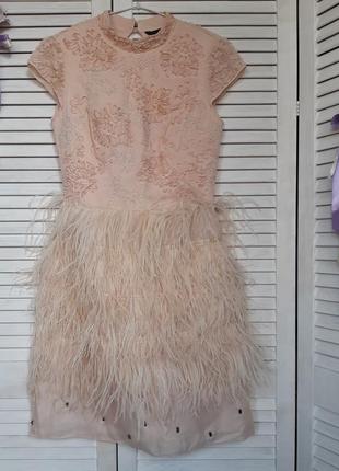 Ошатне, святкове, нюдове плаття міні з натуральними пір'ям, декором coast2 фото