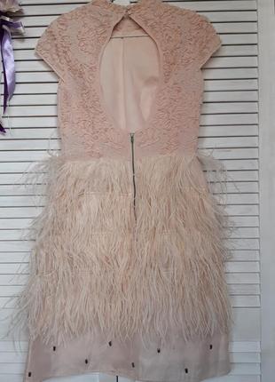 Нарядное, праздничное, нюдовое платье мини с натуральными перьями, декором coast3 фото