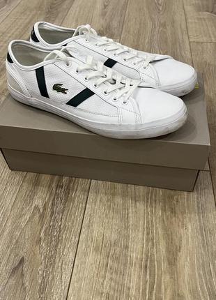 Оригінальні чоловічі кросівки/теніски lacoste 42 розмір