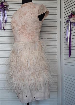 Нарядное, праздничное, нюдовое платье мини с натуральными перьями, декором coast2 фото