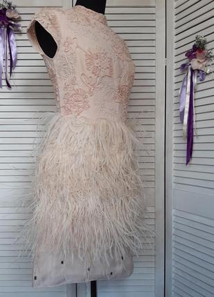 Ошатне, святкове, нюдове плаття міні з натуральними пір'ям, декором coast3 фото