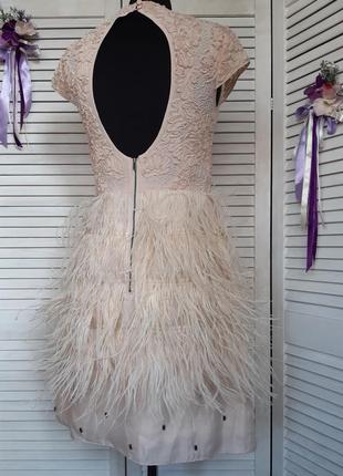 Ошатне, святкове, нюдове плаття міні з натуральними пір'ям, декором coast4 фото