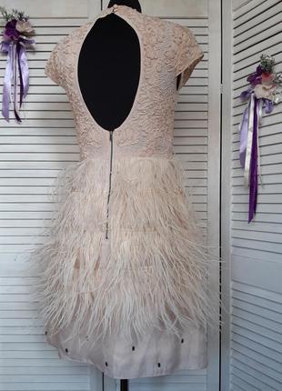 Ошатне, святкове, нюдове плаття міні з натуральними пір'ям, декором coast5 фото