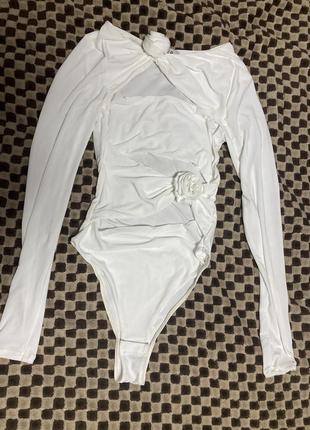 Бодик3 фото
