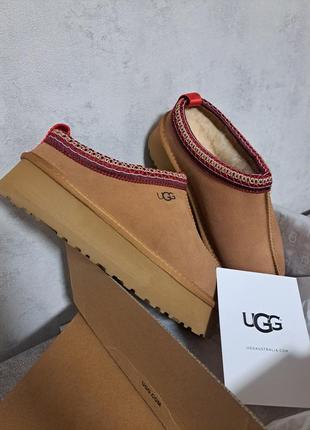 Сабо, угги ugg tazz