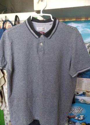 Поло мужское, идеальное," tu".