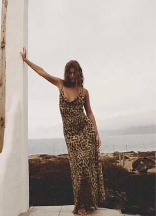 Трендова сукня zara в леопардовому принті