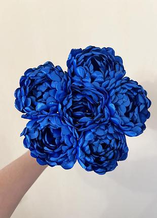 Пионы цветы