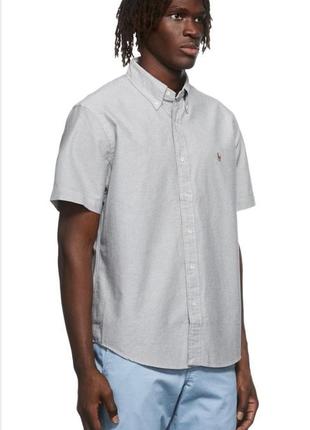 Классическая серая рубашка коттоновая / рубашка теннисика с короткими рукавами