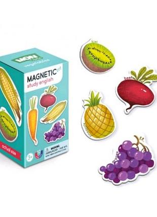 Игра настольная 200203 магнитные овощи разм.элемента 70*46 мм 120*70*70 мм (dodo)
