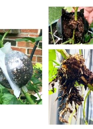 Куля для укорінення рослин. садовийзер для укорінення рослин 12х13,5 см4 фото