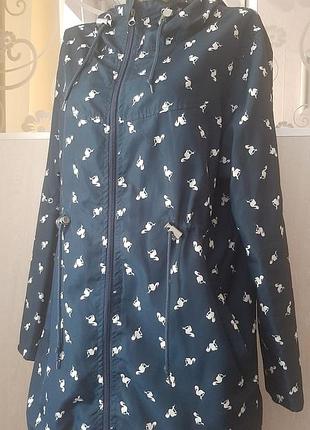 Парка весенняя