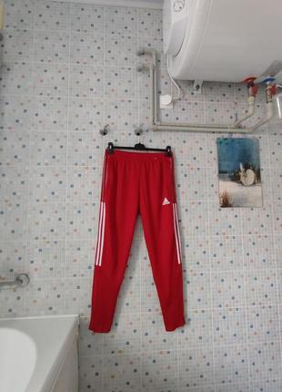Спортивні штани adidas.