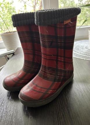 Резиновые сапожки