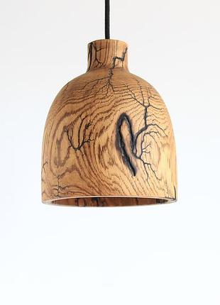 Люстра из дуба украшена молниями (1212)