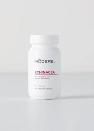 Echinacea modere ехінацея модере 60 капсул - імунокоректор, бад для імунітету