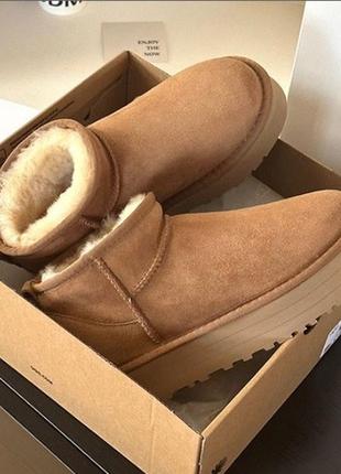 Ugg ultra mini platform угги угі уггі угг зимові ugg ботінки ботинки