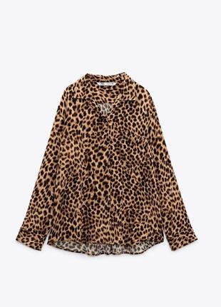 Новая леопардовая блуза zara из новой коллекции размер l2 фото