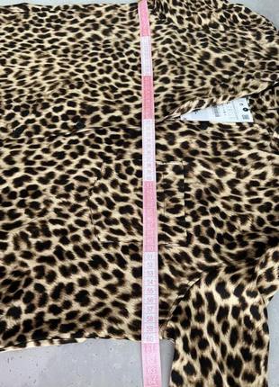 Новая леопардовая блуза zara из новой коллекции размер l6 фото