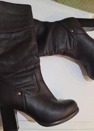 Тренд сезону чоботи monarсh шоколадного кольору