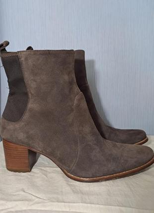Стильні жіночі замшеві сапожки елегантні туфлі timberland черевики  на осінь челсі
