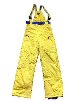 Гірськолижні жовті з синім штани чоловічі жіночі унісекс лижні зимові сноубордичні з підтяжками спинкою комбінезон. розмір s-m (50) everest