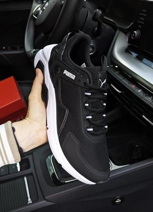 Кросівки в стилі puma 6