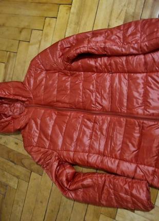 Куртка новая forever 21 размер м