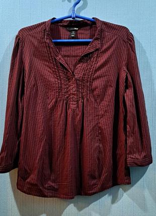 Блуза жіноча бордова у смужку