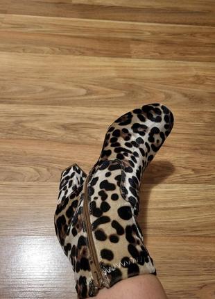 Трендові леопард ботильони велюр