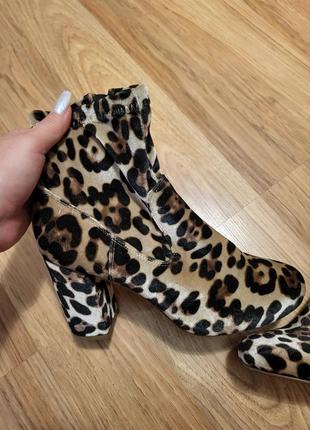 Трендові леопард ботильони велюр