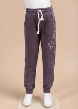 Спортивные штаны на 5-9 лет