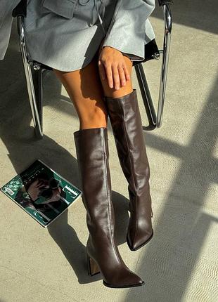 Шкіряні жіночі ботфорти демі/зима