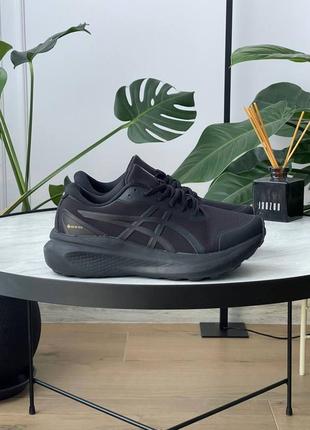 Чоловічі кросівки asics gel-kayano 30 gore-tex