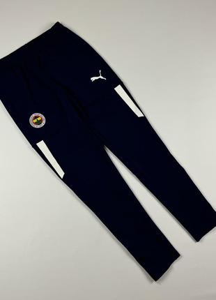 Мужские спортивные штаны puma