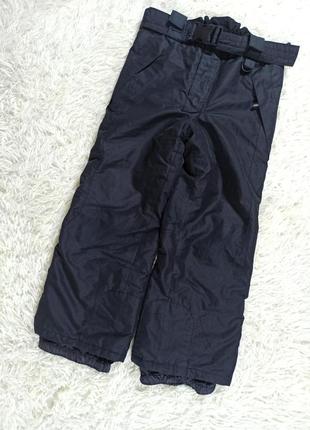 Штаны холодный демисезон/зимние