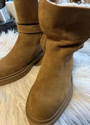 Шикарные зимние натуральные сапоги zara новые