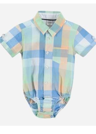 Боді короткий рукав cool club боді сорочка cool club красивий літній боді бодік 62 боді cool club боді для хлопчика