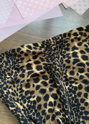 Топ леопардовый коричневый черный на грудь в обтяжку размер xxs xs s new look2 фото