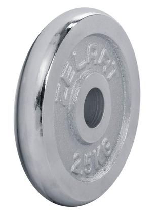 Диски (диски) хромовані d — 30 мм zelart ta-7786-2_5 2,5 кг3 фото
