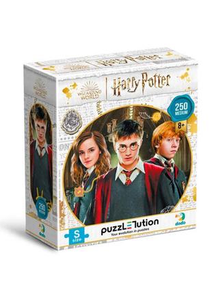 200498 пазл medium-s «harry potter. гаррі та друзі», 250 елементів