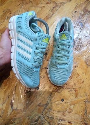 Кроссовки крассовки сетка adidas1 фото