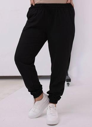 Спортивні штани, джогери великих розмірів