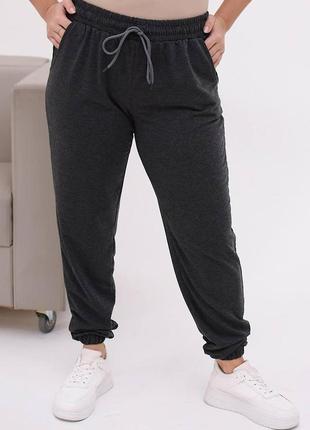 Спортивні штани, джогери великих розмірів