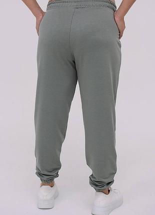 Спортивні штани, джогери великих розмірів